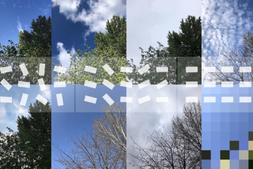 8 photos of the same tree taken at different times of the year in 2 rows of 4, the last photo is highly pixelated. A pattern of random white blocks run across the image from the left and become aligned on the right.